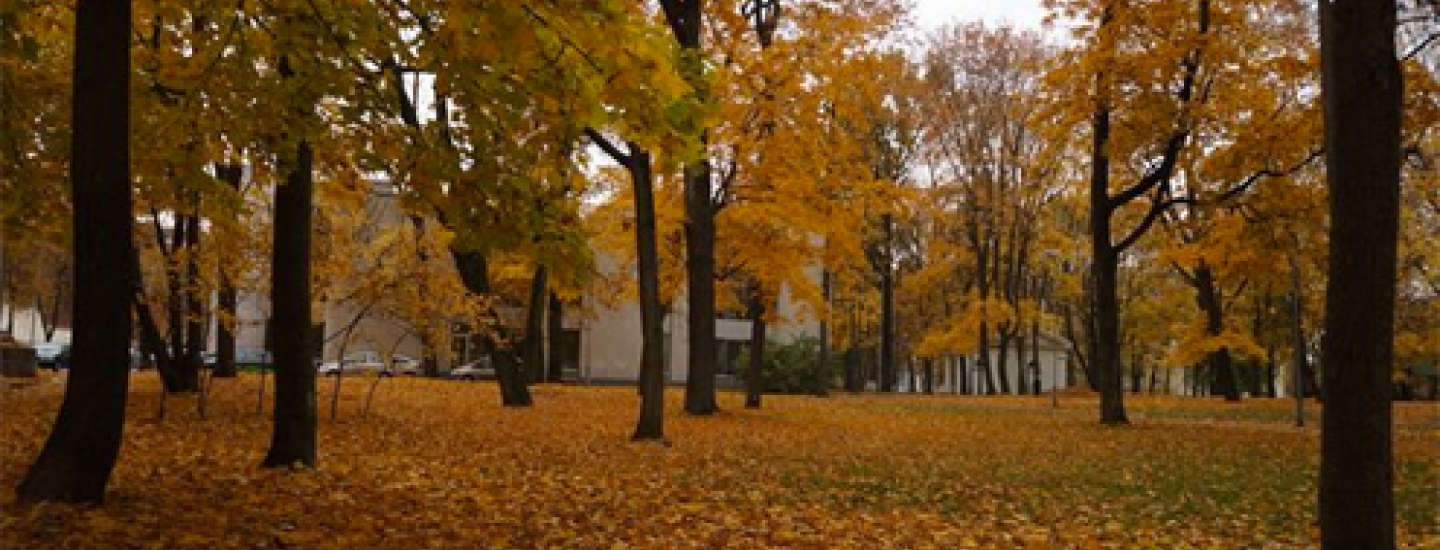 Liuteronu_parkas-18a71c30e0eec231b05410b74c1eb50f.jpg