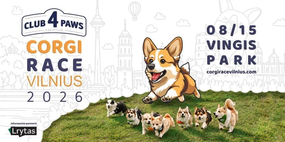 corgi-race-vilnius-2026
