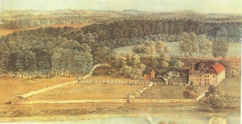 vingio-dvaras
